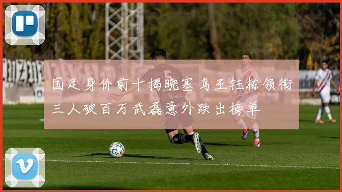 国足身价前十揭晓塞鸟王钰栋领衔三人破百万武磊意外跌出榜单