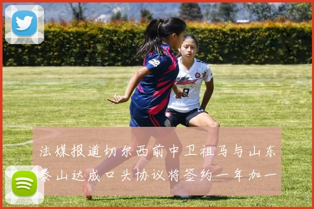 法媒报道切尔西前中卫祖马与山东泰山达成口头协议将签约一年加一年